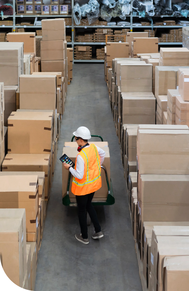 about us and our team